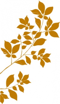 Naklejka Flora 240