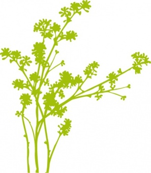 Naklejka Flora 259