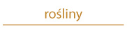 Fauna